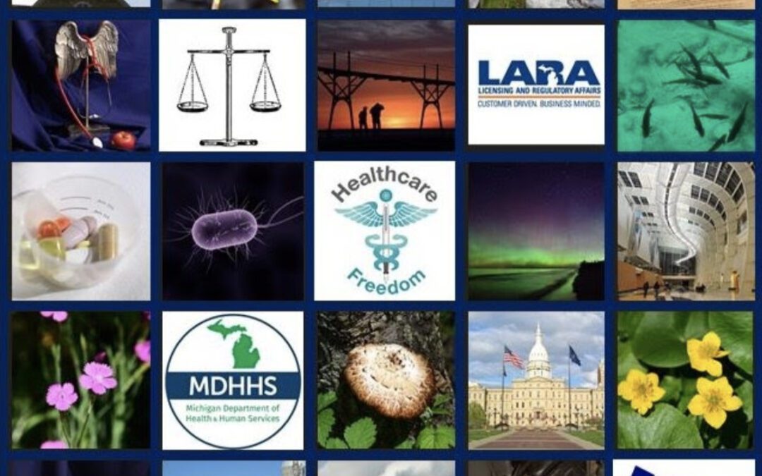 Federalism: Taking Out Local Barriers to Healthcare Freedom