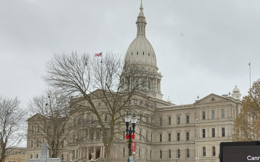 MI DOGE should count the cost of healthcare bills